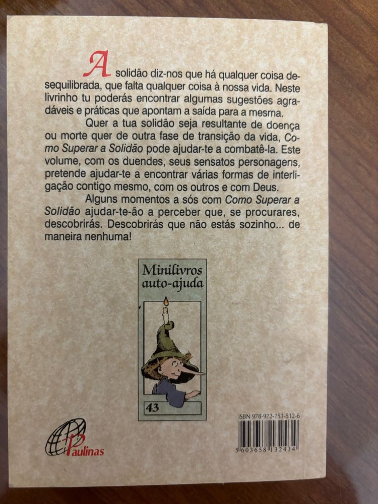Como superar a solidão Livro de Auto-ajuda