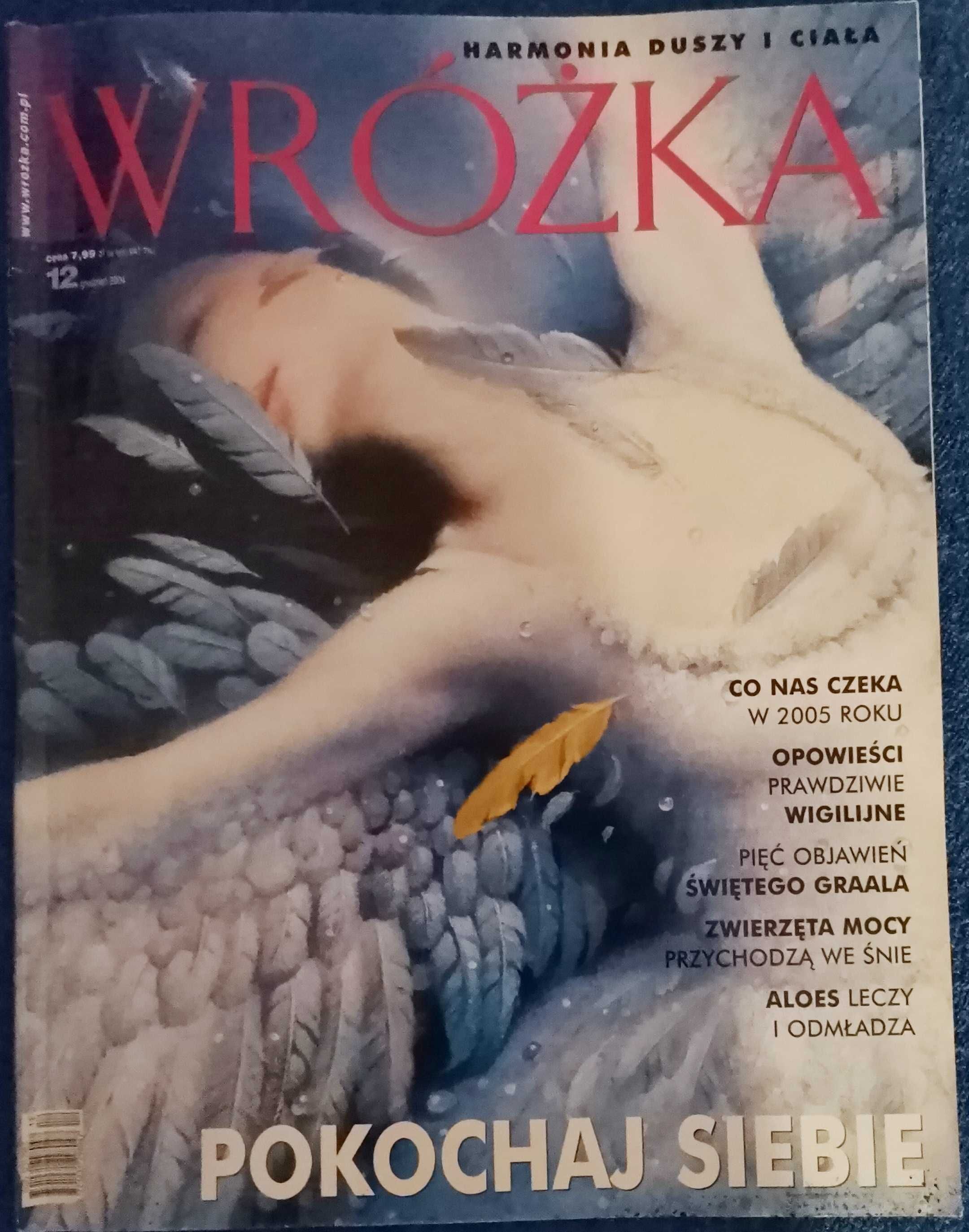 Wróżka pismo (miesięcznik) 2010,  część 2004