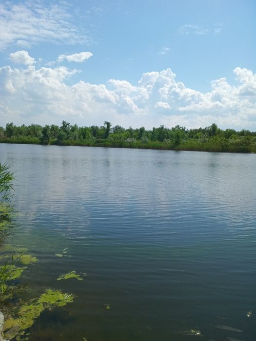 Продам участок за Фрунзенским с выходом на озеро Шпаковое.