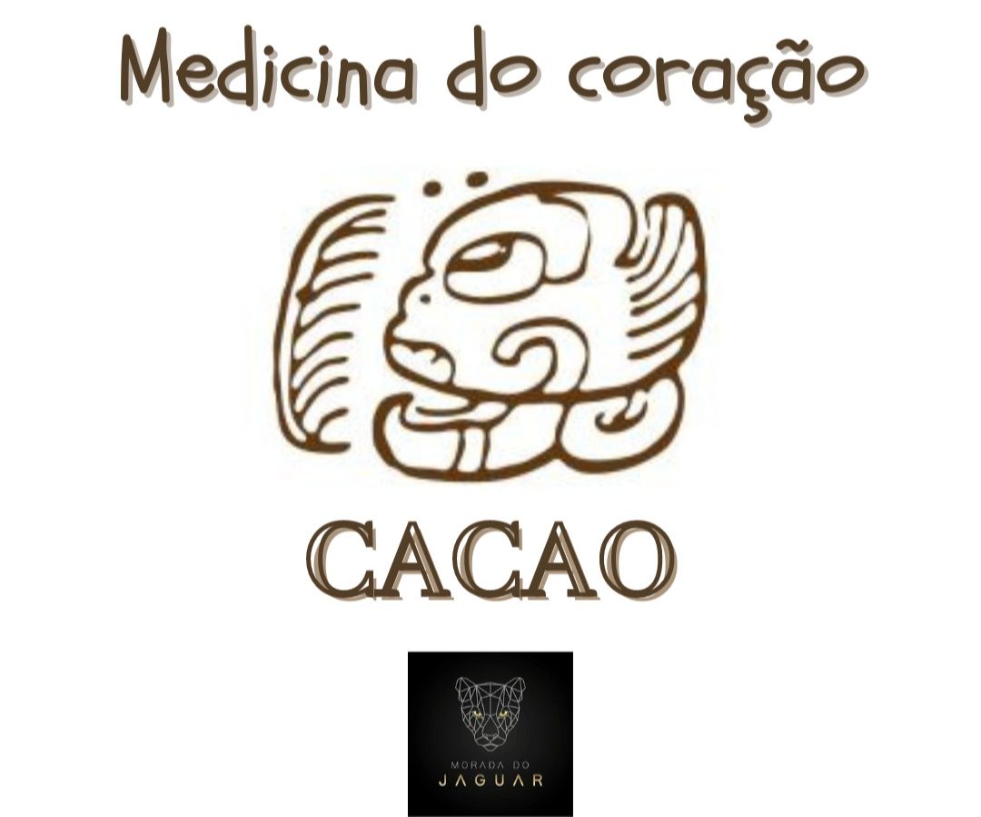 Cacao puro orgânico do Equador