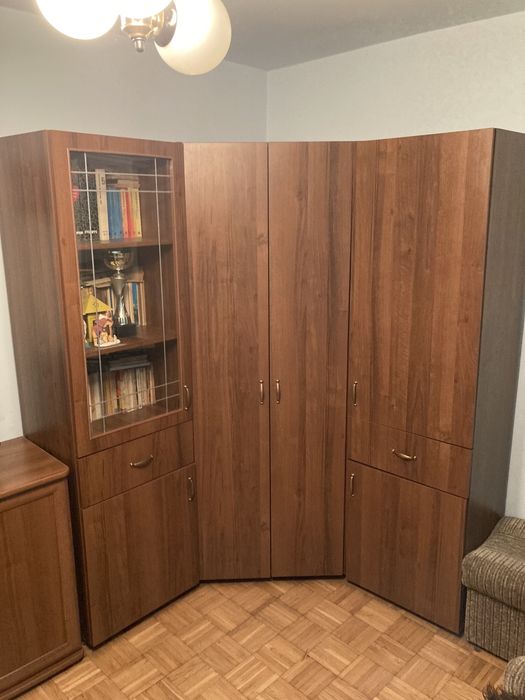 Meloscianka szafa narozna