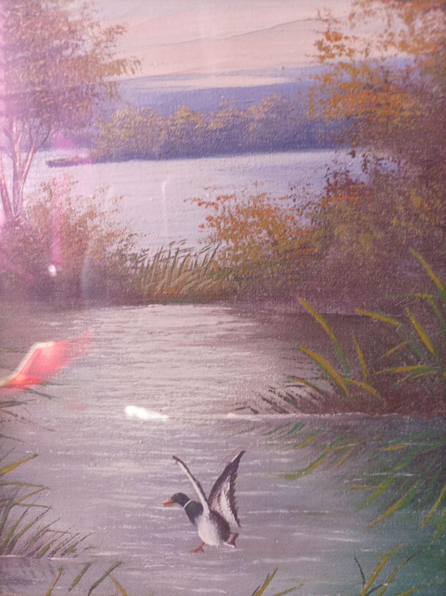 Картина "Утки на озере" написана маслом, с рамой, застекленная
