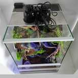 Terrarium dla felsumy madagaskarskiej, TW65STL, AquaWaves