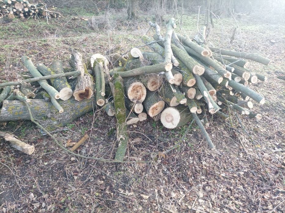 Дрова твердых пород дрова твердих порід зі своєї земельної ділянки