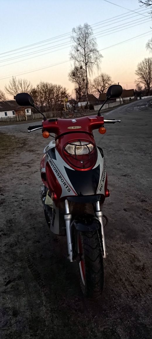 Viper grand prix 100сс