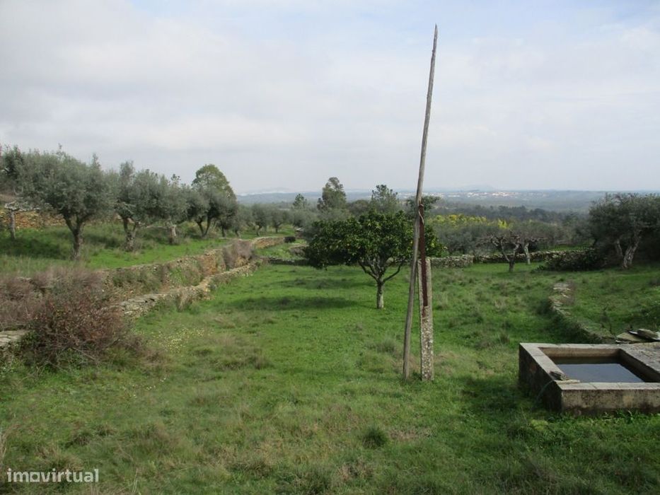 Quintinha