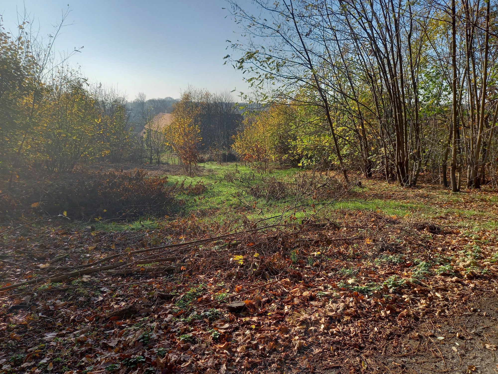 Działka budowlana 0,2450 ha, Otynia, Bobrowniki - przy rezerwacie B