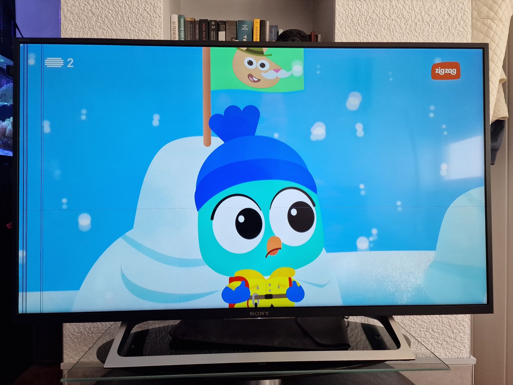Tv Sony Bravia de 43"
