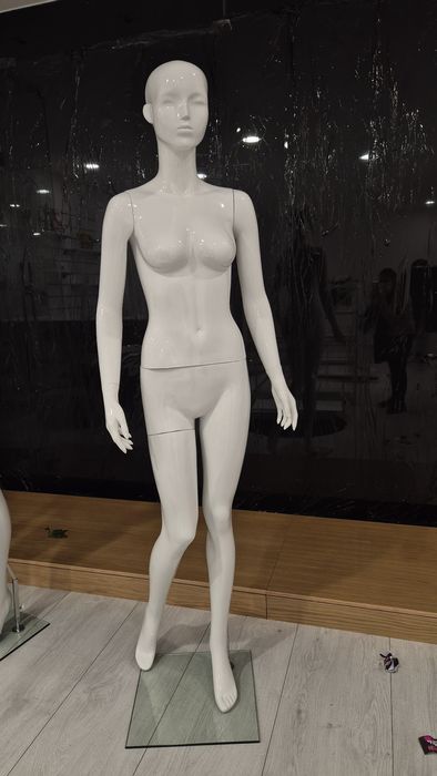 Manequins  de senhora