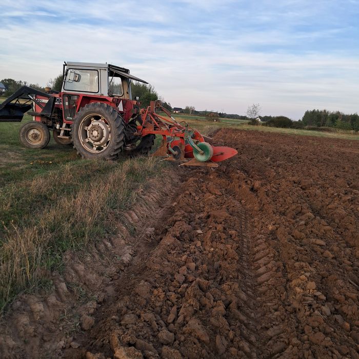 Massey Ferguson 590 z ładowaczem czołowym