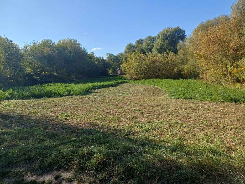 Будинок з земельною ділянкою с Івки