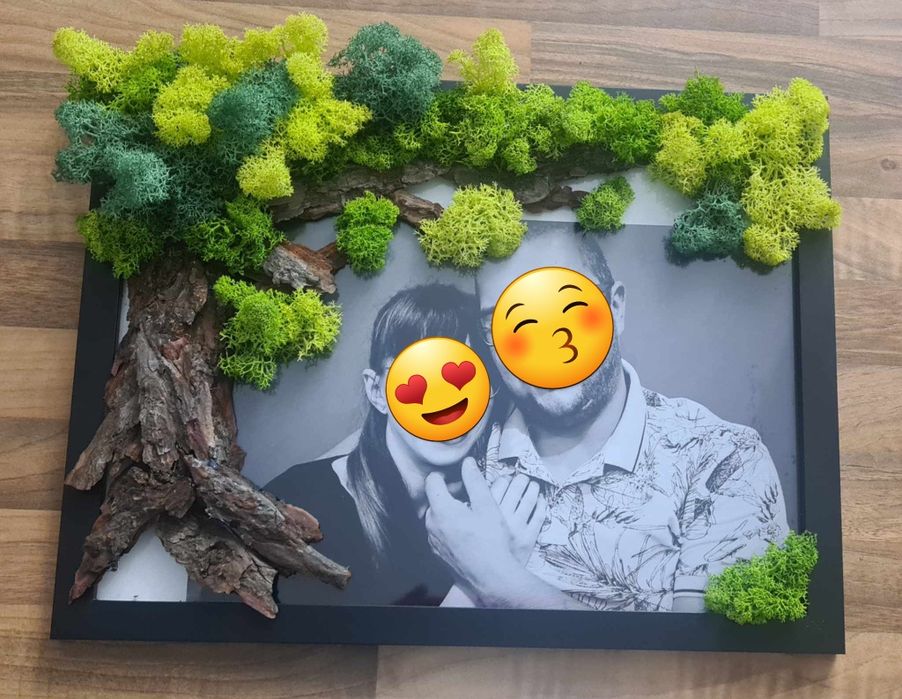 Żywy obraz mech chrobotek reniferowy. Ramka
