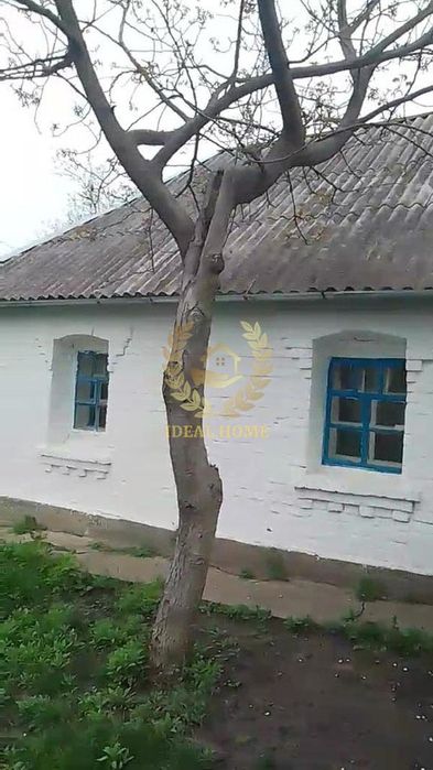 Продам будинок у Денихівці, 3 кімнати