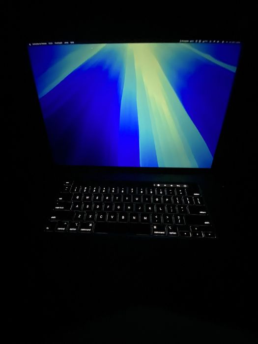 Macbook pro 2019 32gb ram