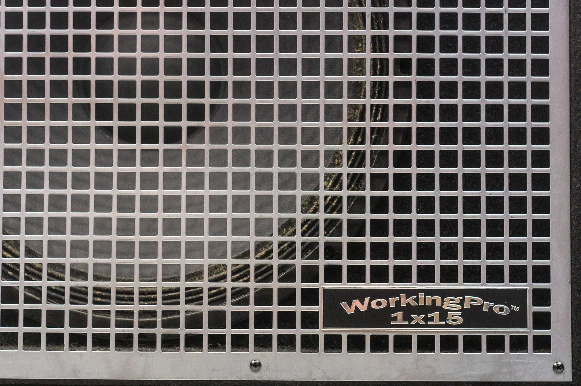 SWR WorkingPro 115 kolumna basowa 1x15"