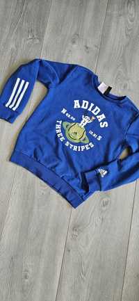 Niebieska bluza r 134 Adidas