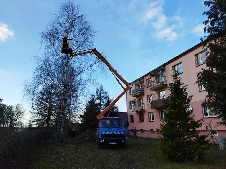 Wycinka drzew z podnośnika koszowego lub dostępu linowego Usługi rębak