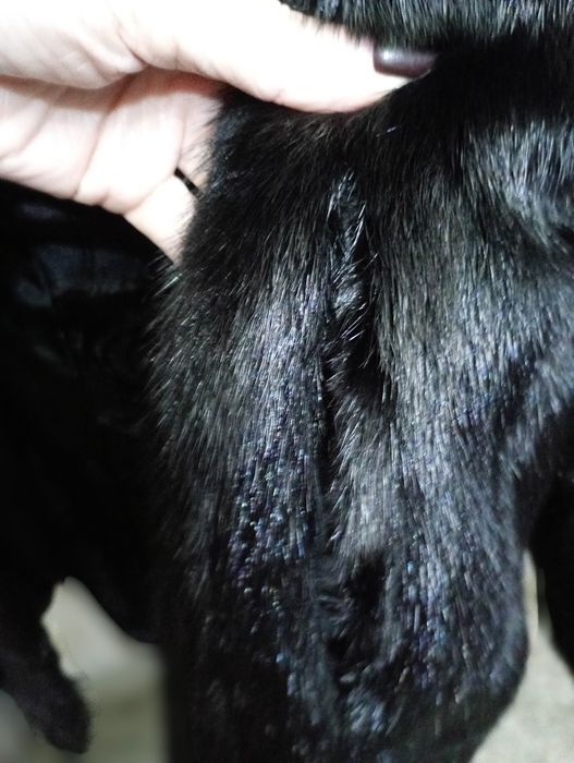 Ог 108см. Норковая шуба с рысью. Полушубок. Натуральная шуба