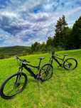 Rower Elektryczny MTB 29 cali Nowy