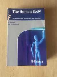 The Human Body: An Introduction to Structure and Function, Thieme