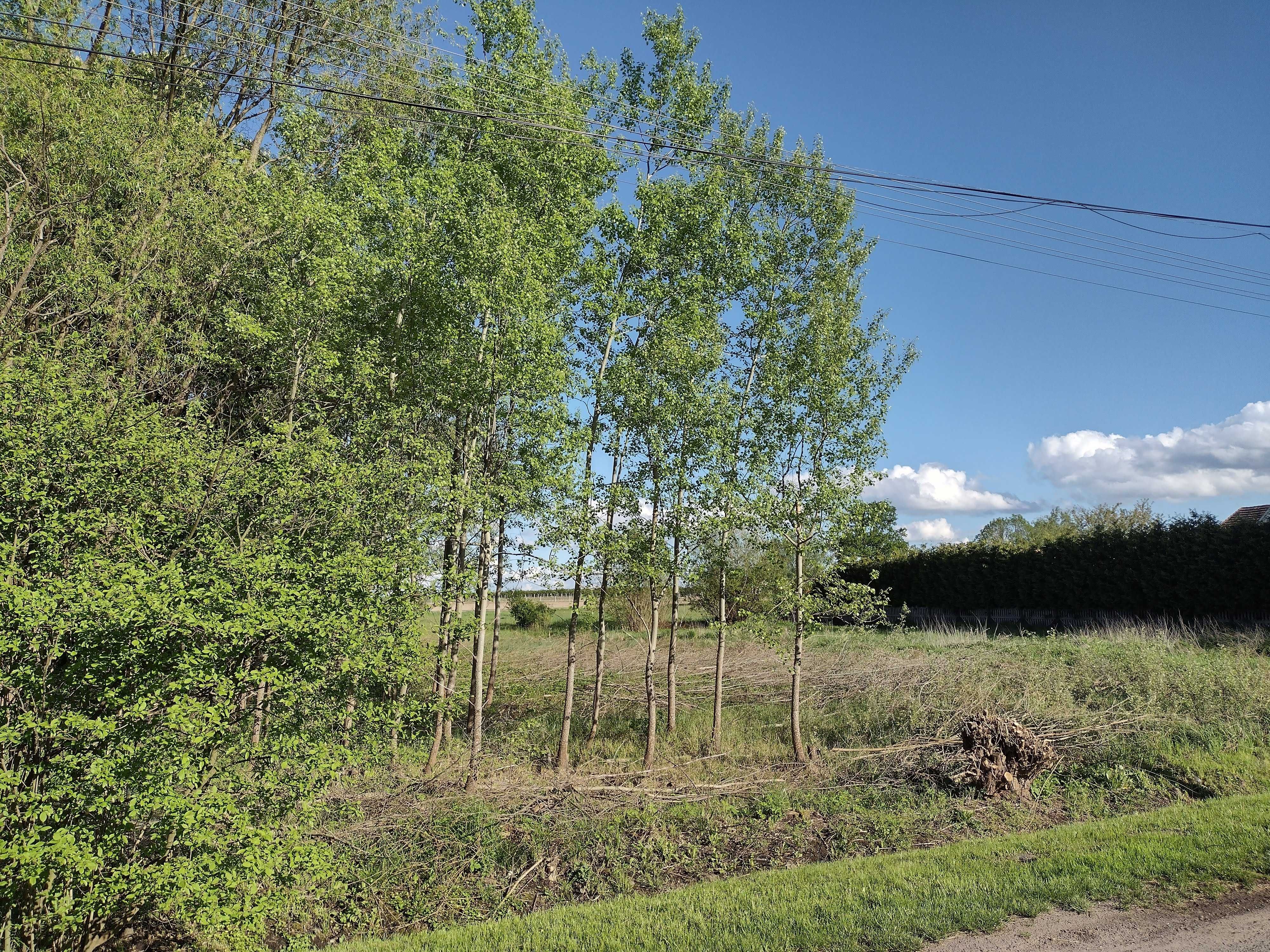 Działka budowlana 1537m Radosław 10km od S5 Leszno
