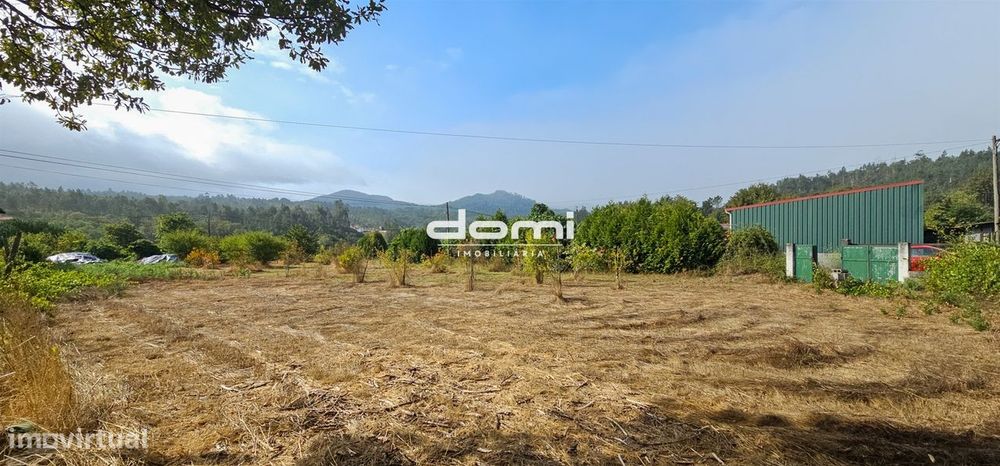 🌿 Terreno Rústico com 2.000 m² – Várzea - São Pedro do Sul