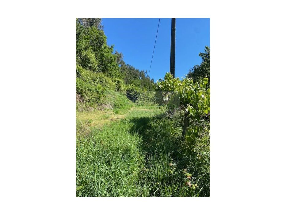 Quintinha Junto Ao Rio Pisão | Paradela