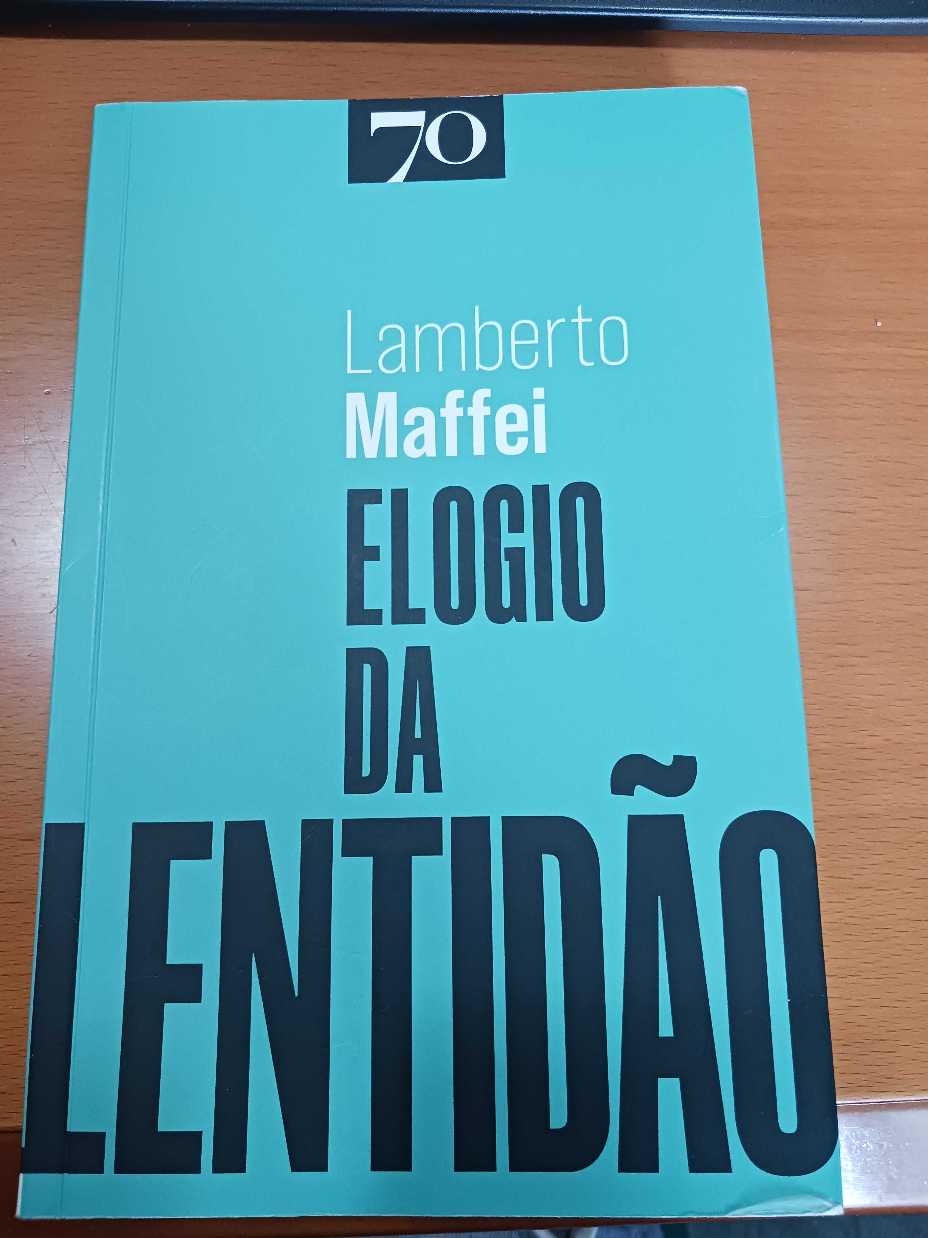 Elogio da Lentidão