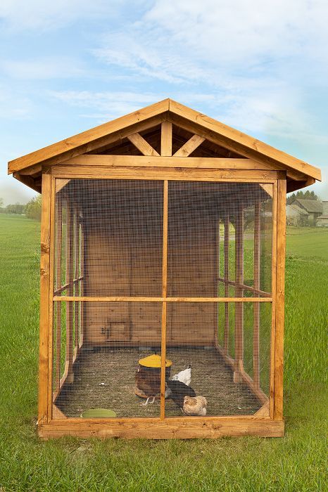 Kurnik w rozmiarze 6x2