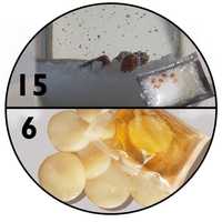 Probiotyczne DUO | kryształki japońskie 15 g + kombucha 6 cm