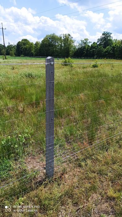 Ogrodzenie siatka leśna na słupach betonowych