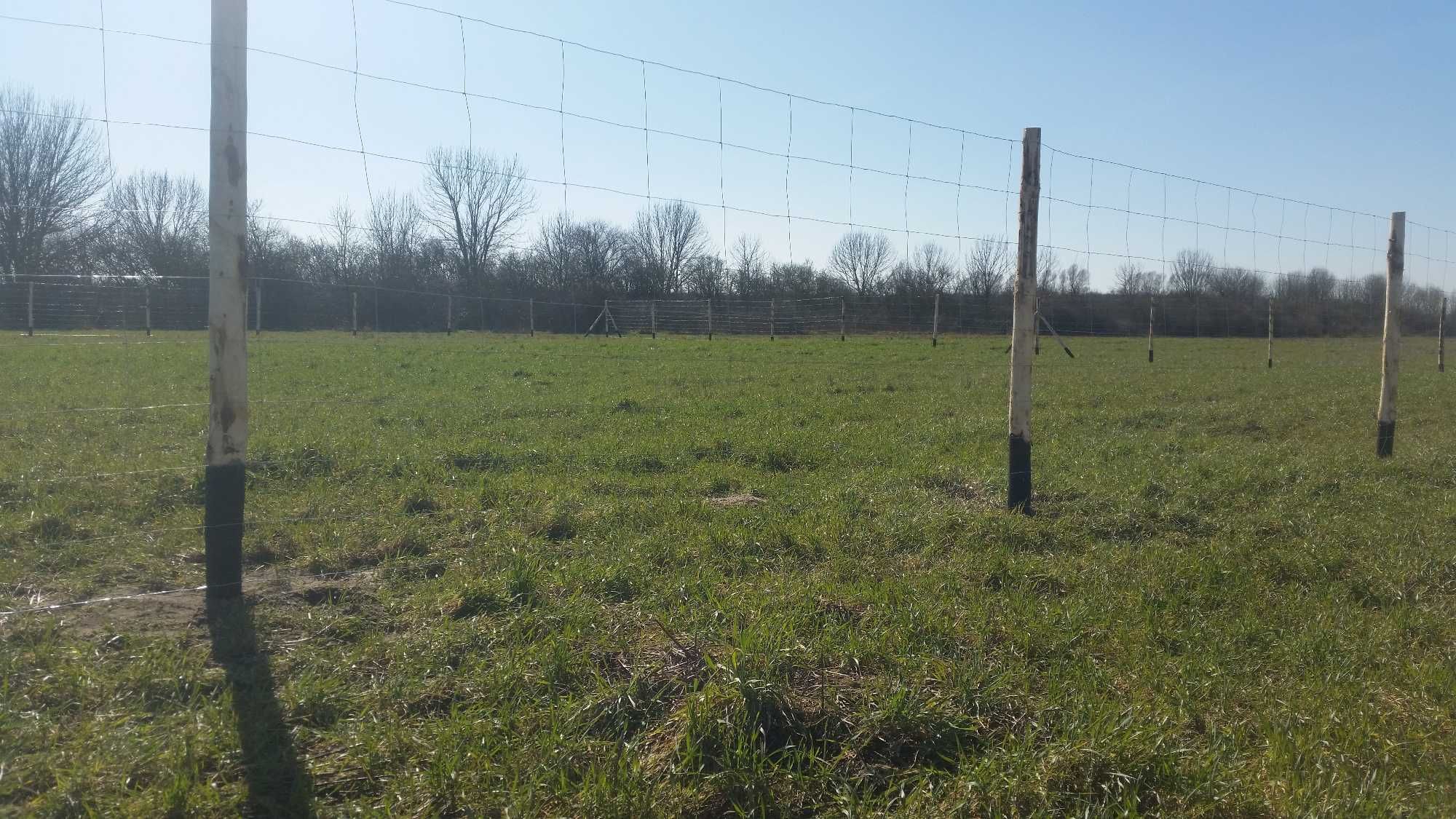 ogrodzenie tymczasowe budowlane,słupki drewniane , kołki ,paliki