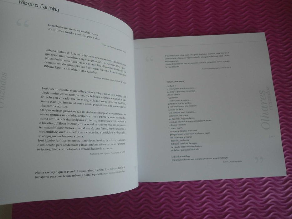 O rio a alargar as margens de Ribeiro Farinha