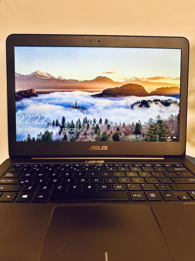 Asus ZenBook UX305F