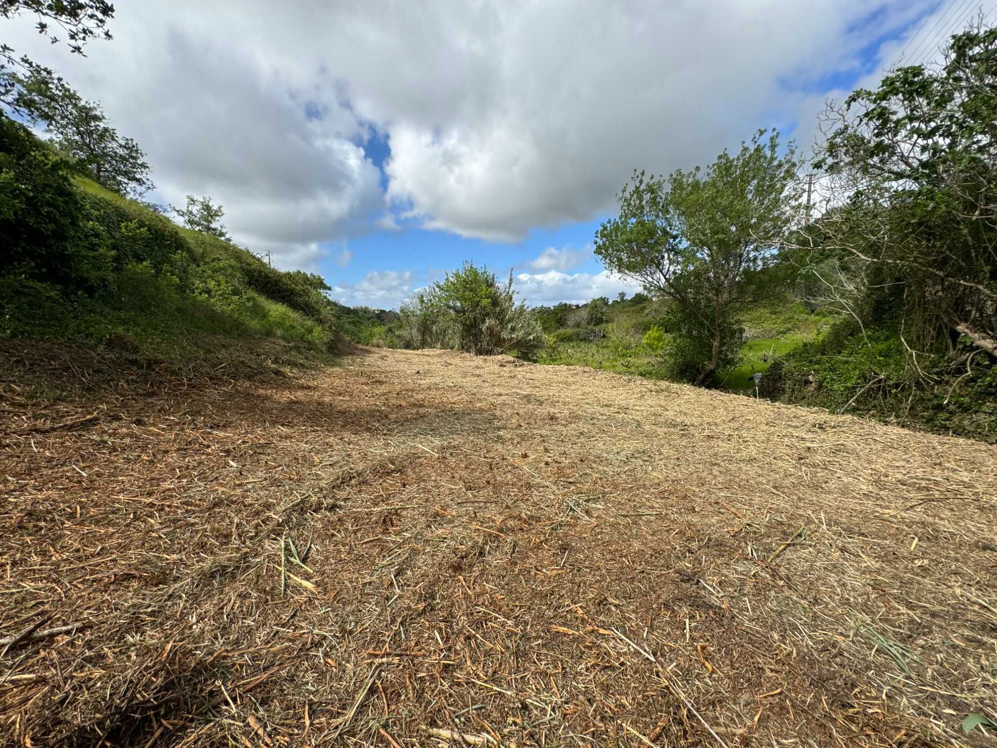 Terreno agrícola 2,2 hectares - Possibilidade de FINANCIAMENTO