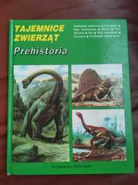 Książka Dinozaury Prehistoria