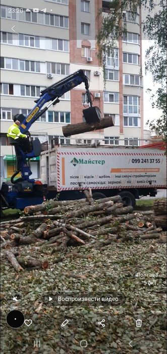 Спил дерев , вивоз , розчистка .