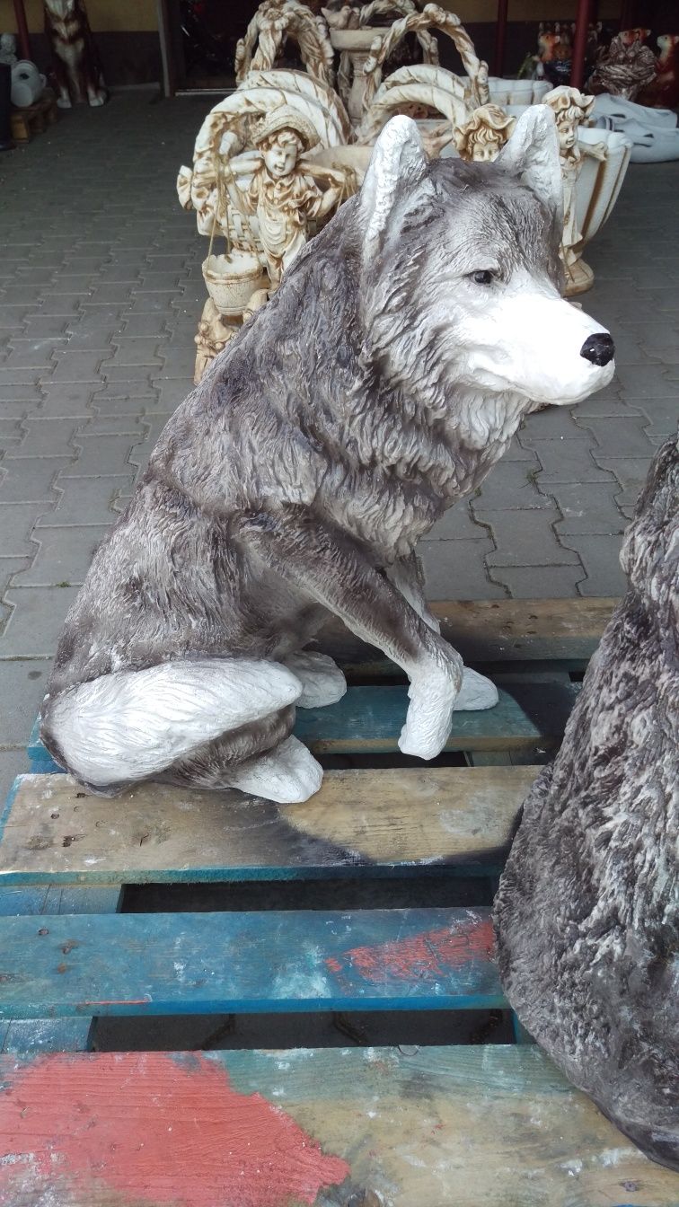 Pies pasterski bernerski owczarek husky syberyjski betonowy figury