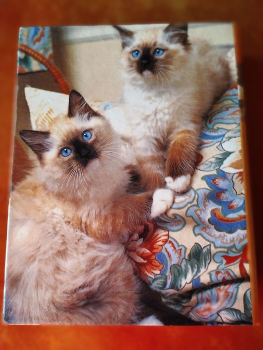 Фотоальбом на 48 фото