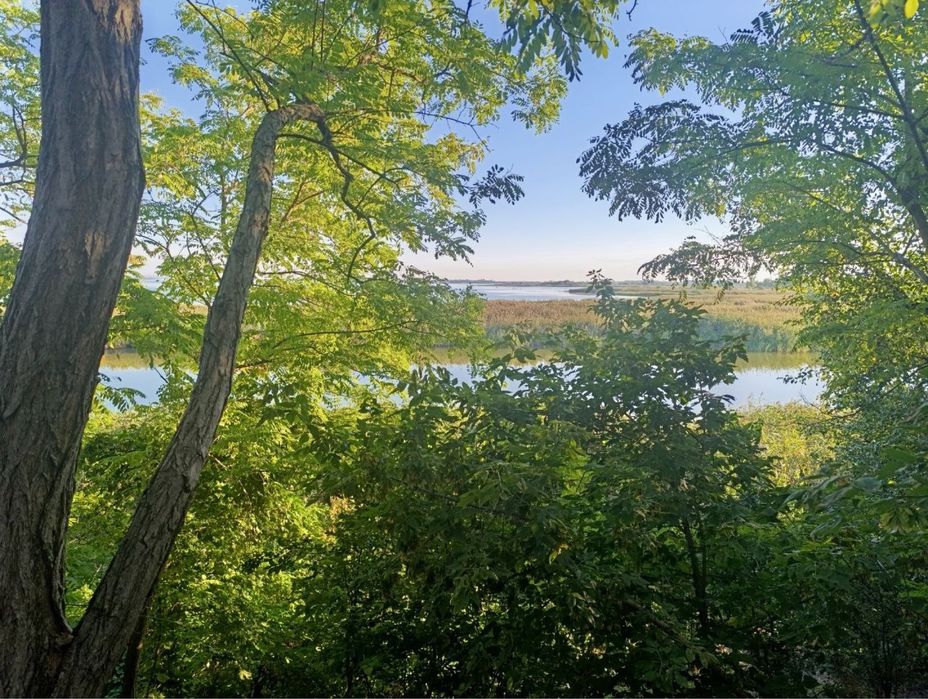 Продам редкий вариант участка в Одинковке, на берегу реки Самара