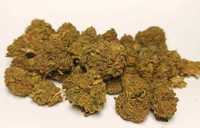 10G Susz Orange Bud 32% (THCP HHCO) marihuana