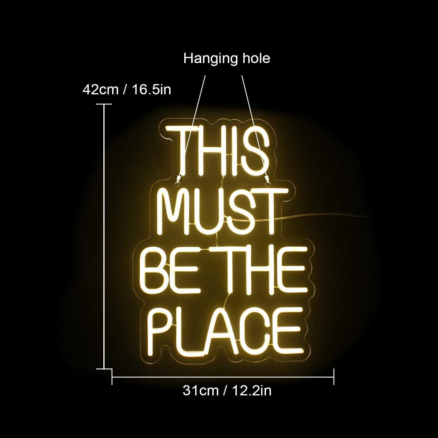 Letreiro Luminoso Néon LED em Acrílico " This Must Be The Place "