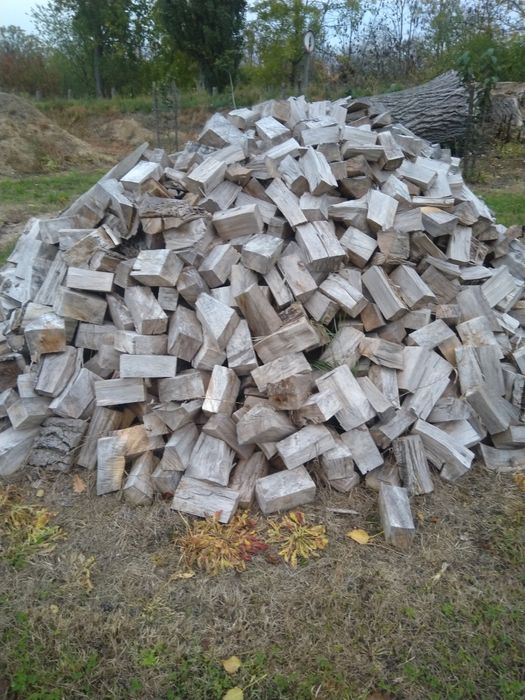 Drewno opałowe topola