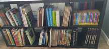 Livros variados, antigos e muito antigos ( Anúncio nº1 )