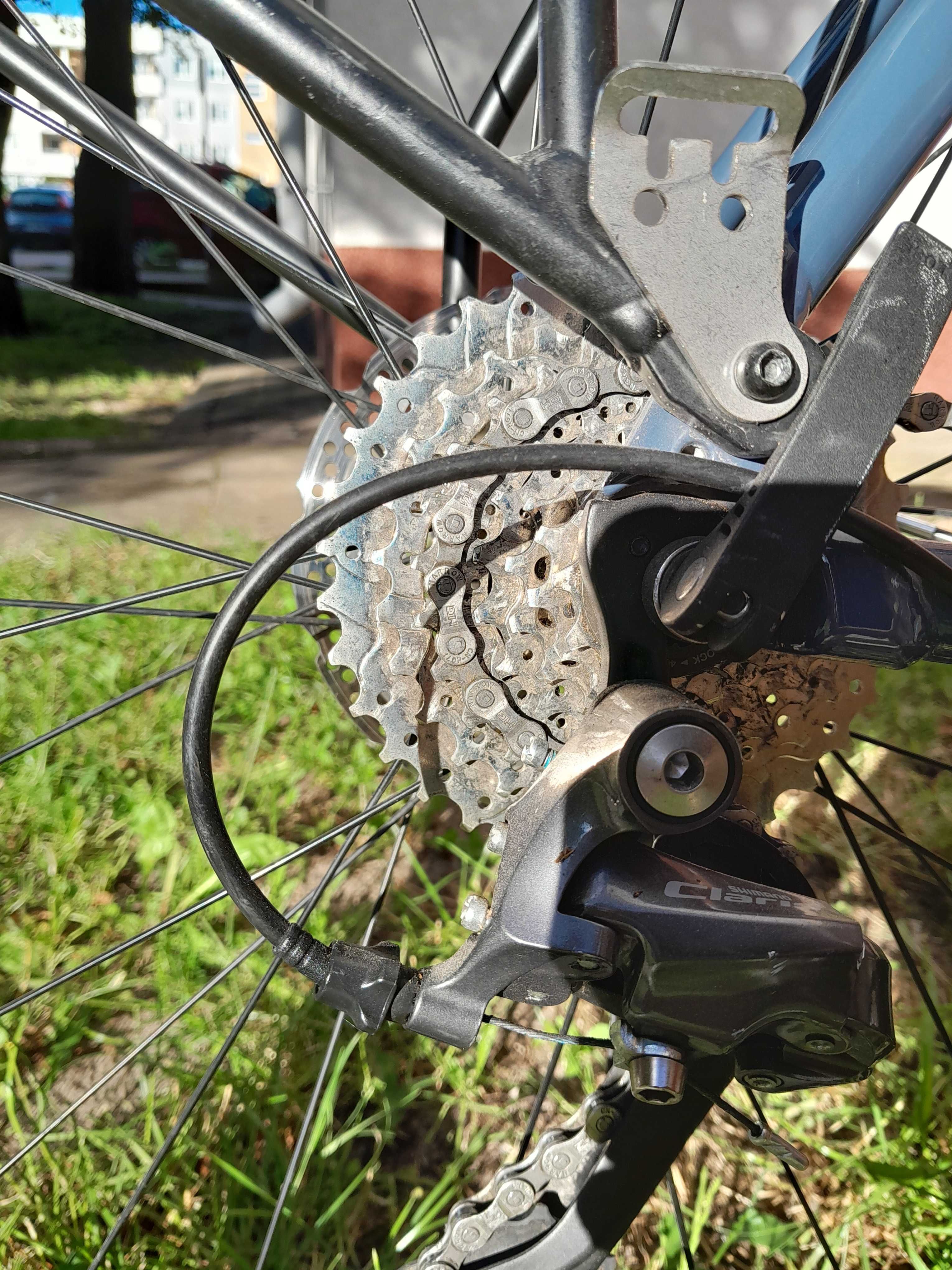 Rower gravel bulls daily grinder 1