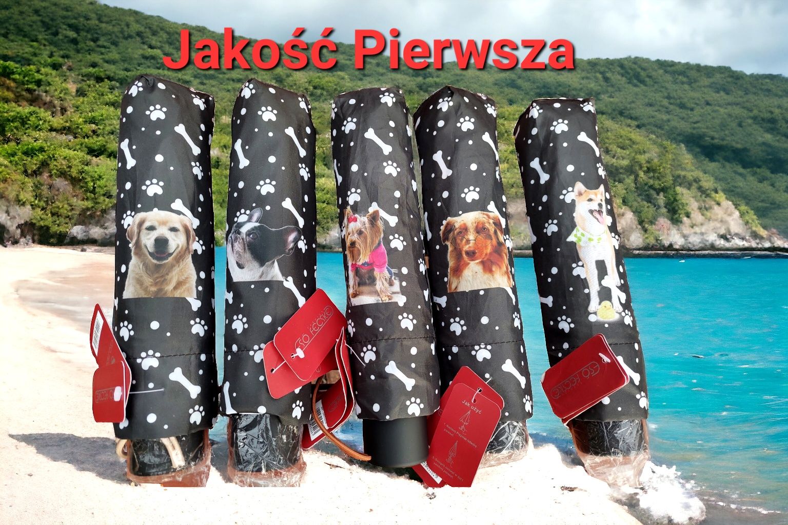 Manualna parasolka z orginalnym wzorem psa.