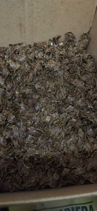 Olej lniany, rzepakowy i inne  tłoczony na zimno,olej naturalny
15 zł