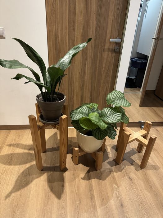 Zestaw 3 kwietników drewnianych