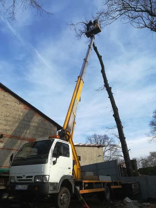 Usługi podnośnikiem koszowym 20 metrów Wycinka drzew