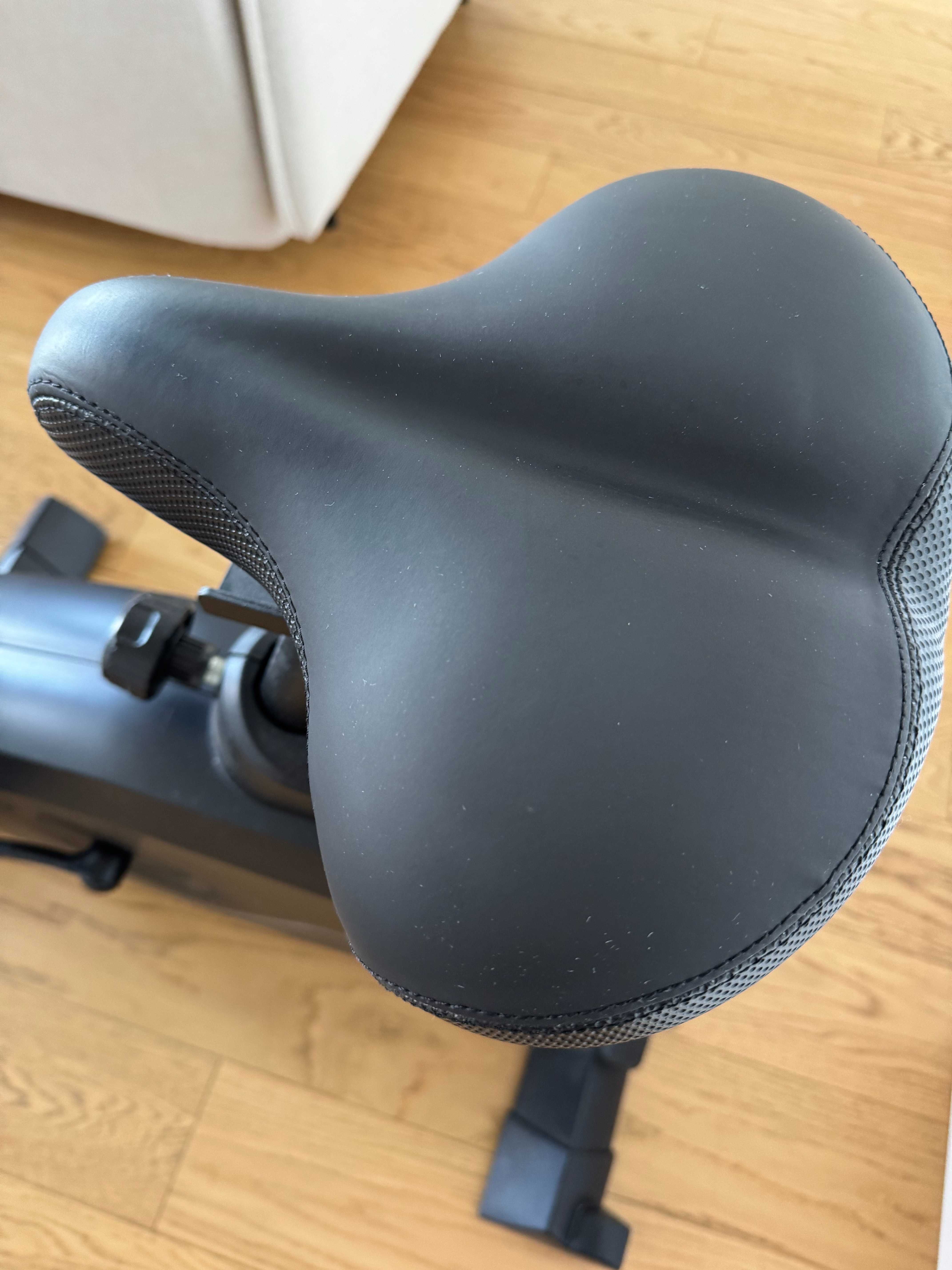 Rower stacjonarny KETTLER Axos Avior P